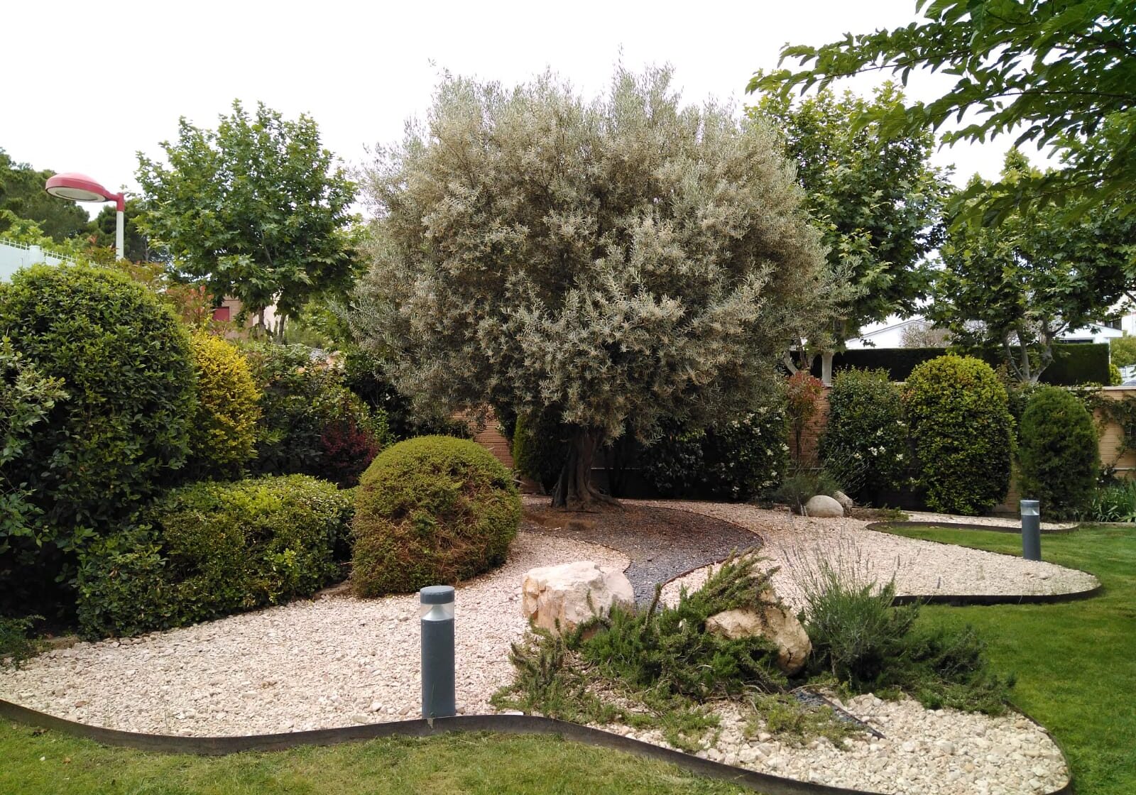 jardín Diseño de Jardín